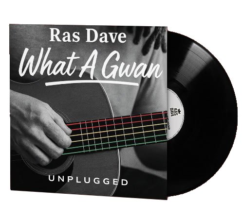 What A Gwan Unplugged LP product image (1)