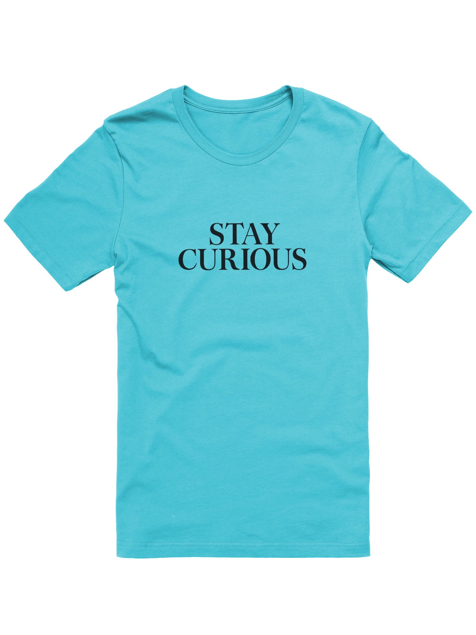Stay Curious T-Shirt | Motivational Quote Tee | Inspirational Typography Shirt | Bella Canvas 3001 product image (1)
