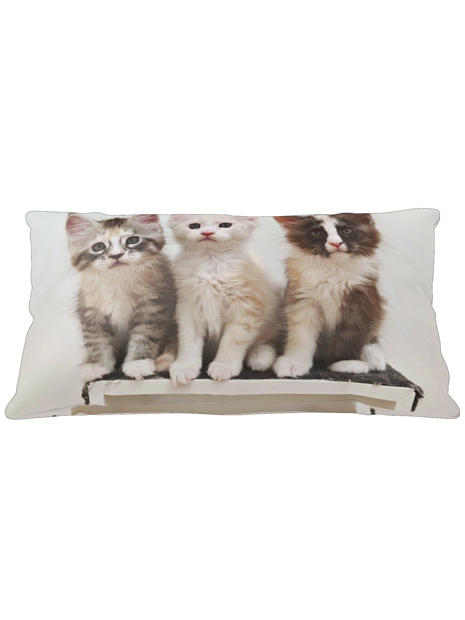 Ada's Kittens - Pillow product image (5)