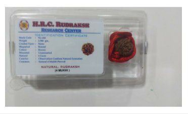 सिध्द चार मुखी रुद्राक्ष product image (1)