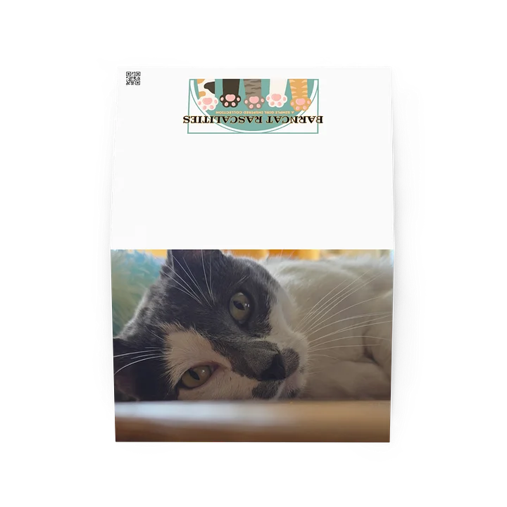 Paislie Feline Gaze Greeting Card product image (2)