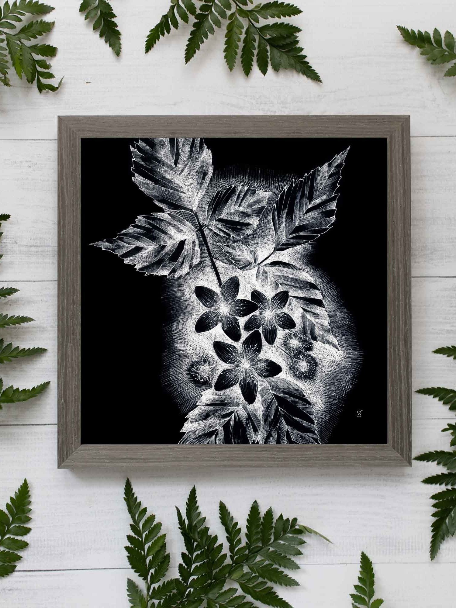 Blank Canvas Collection - JDark asmine product image (59)