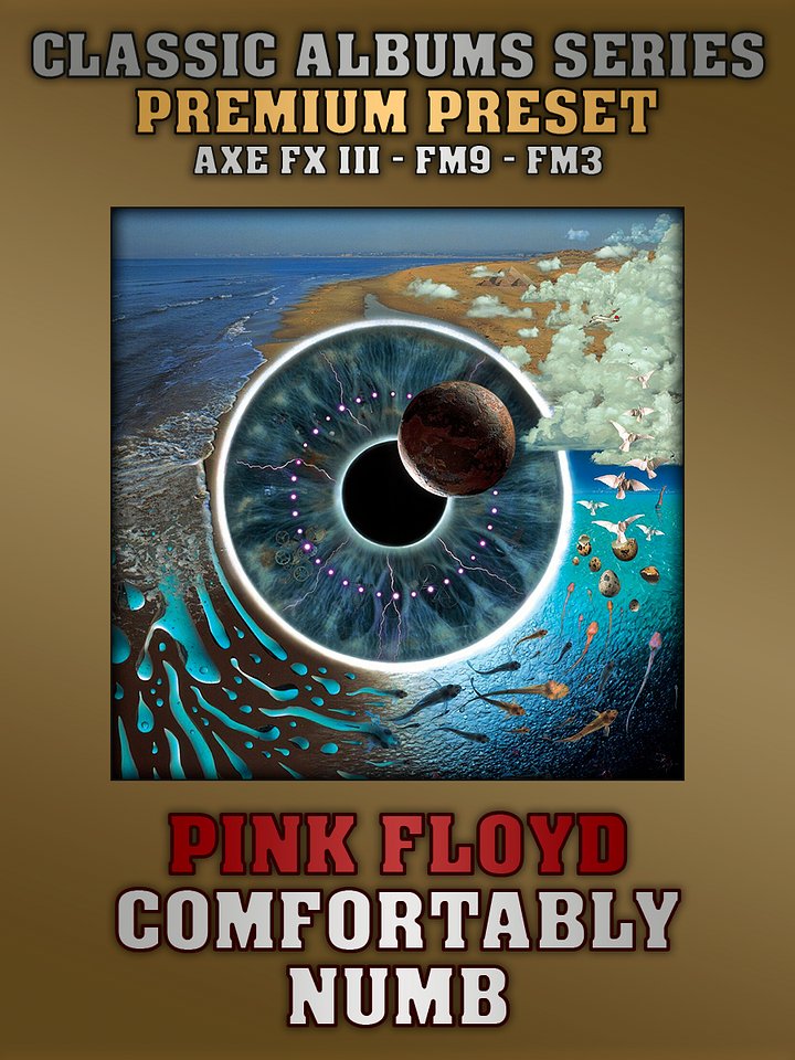 Pink Floyd - Comfortably Numb (PULSE) | Premium Preset | Axe FX III - FM9 - FM3 product image (1)