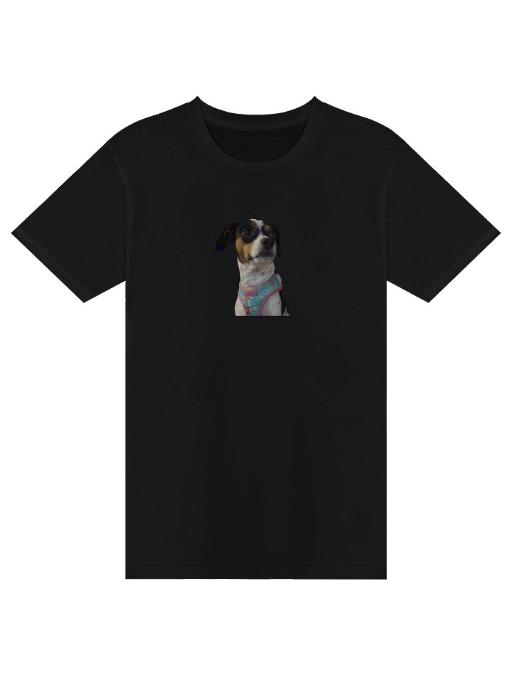 KGDS x Odessa Tee – Always a Keep product image (2)