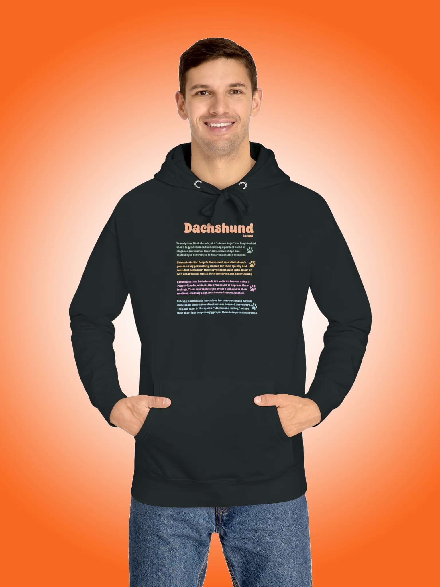Definition of a Dachshund product image (1)
