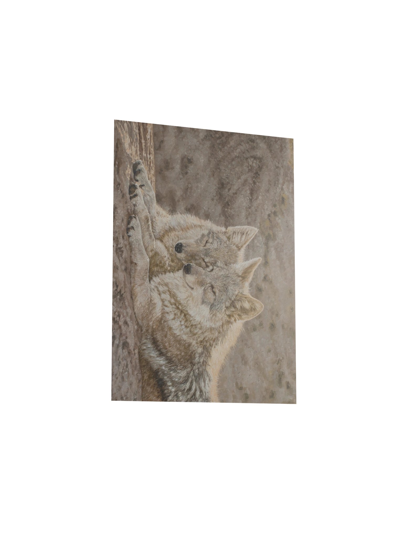 Basking Print product image (3)