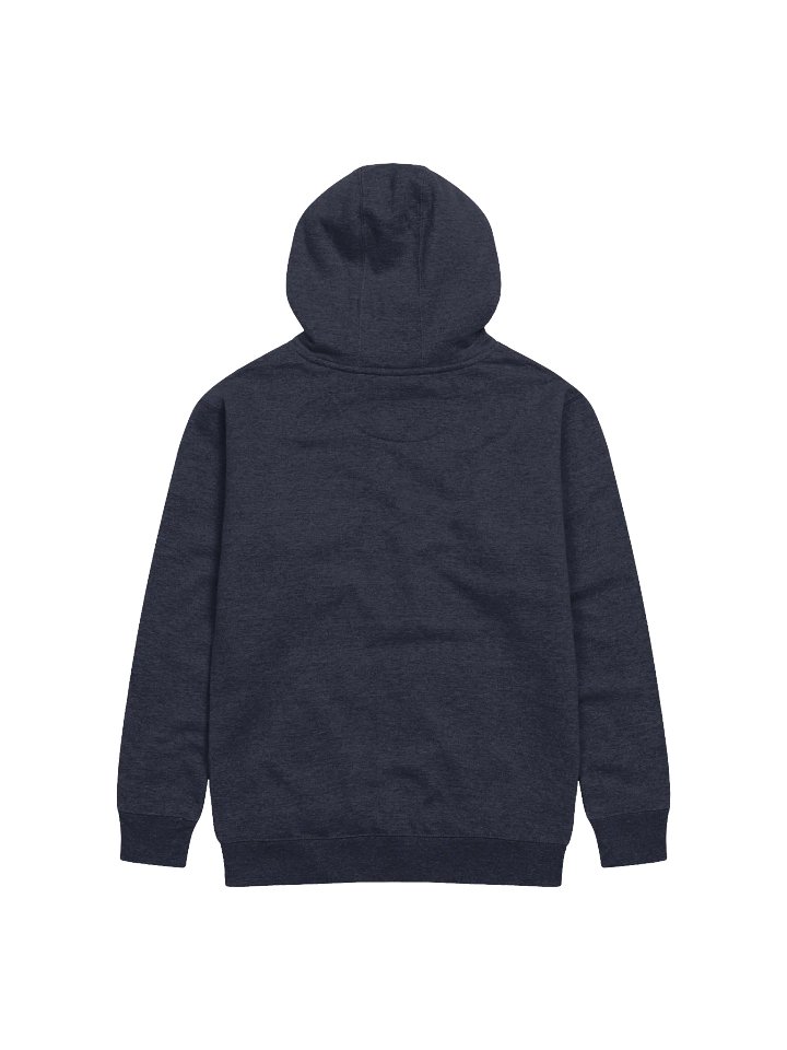 "Why Are You Wearing The Lanyard Inside?" Premium Unisex Hoodie product image (9)