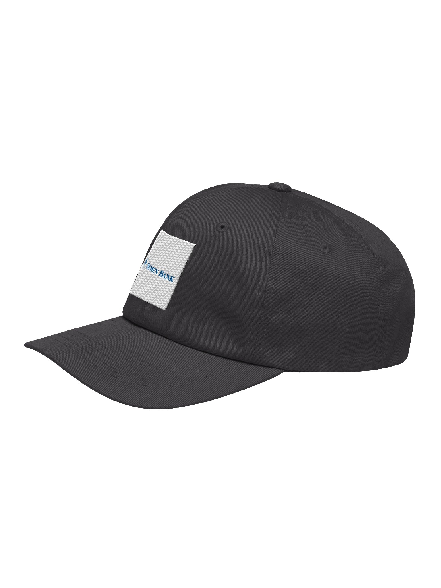 Semen Bank Dad Hat product image (3)