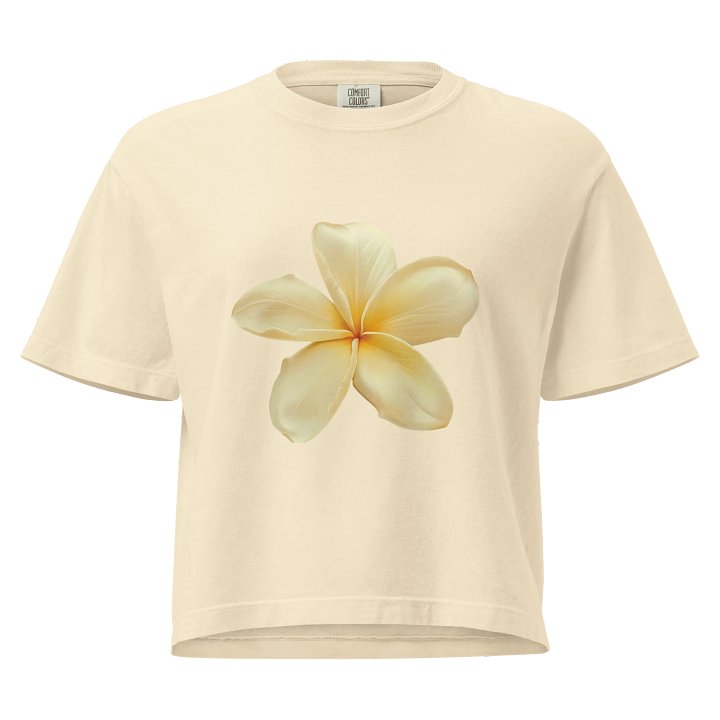 frangipani flower top product image (1)
