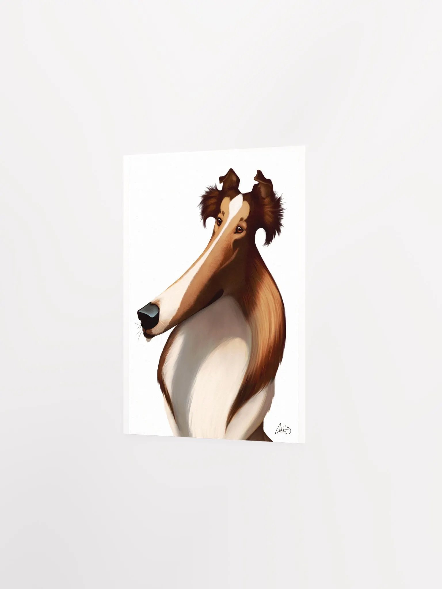 Dog Breeds: Rough Collie Print product image (5)