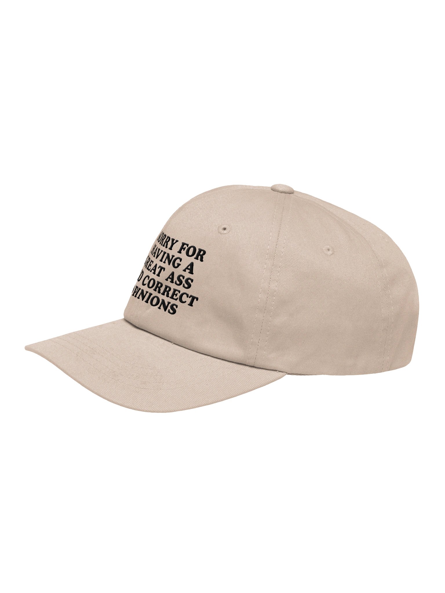 Funny Sarcastic Dad Hat – Sorry for Having a Great Ass & Correct Opinions product image (27)