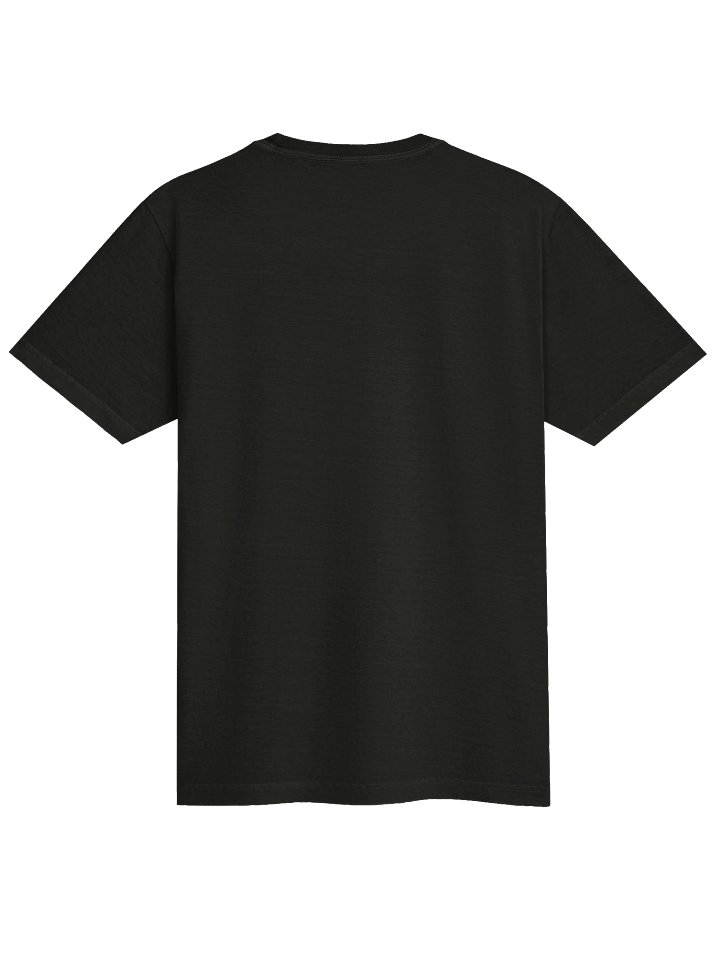 🌴 Juggalos in Florida T-Shirt product image (2)