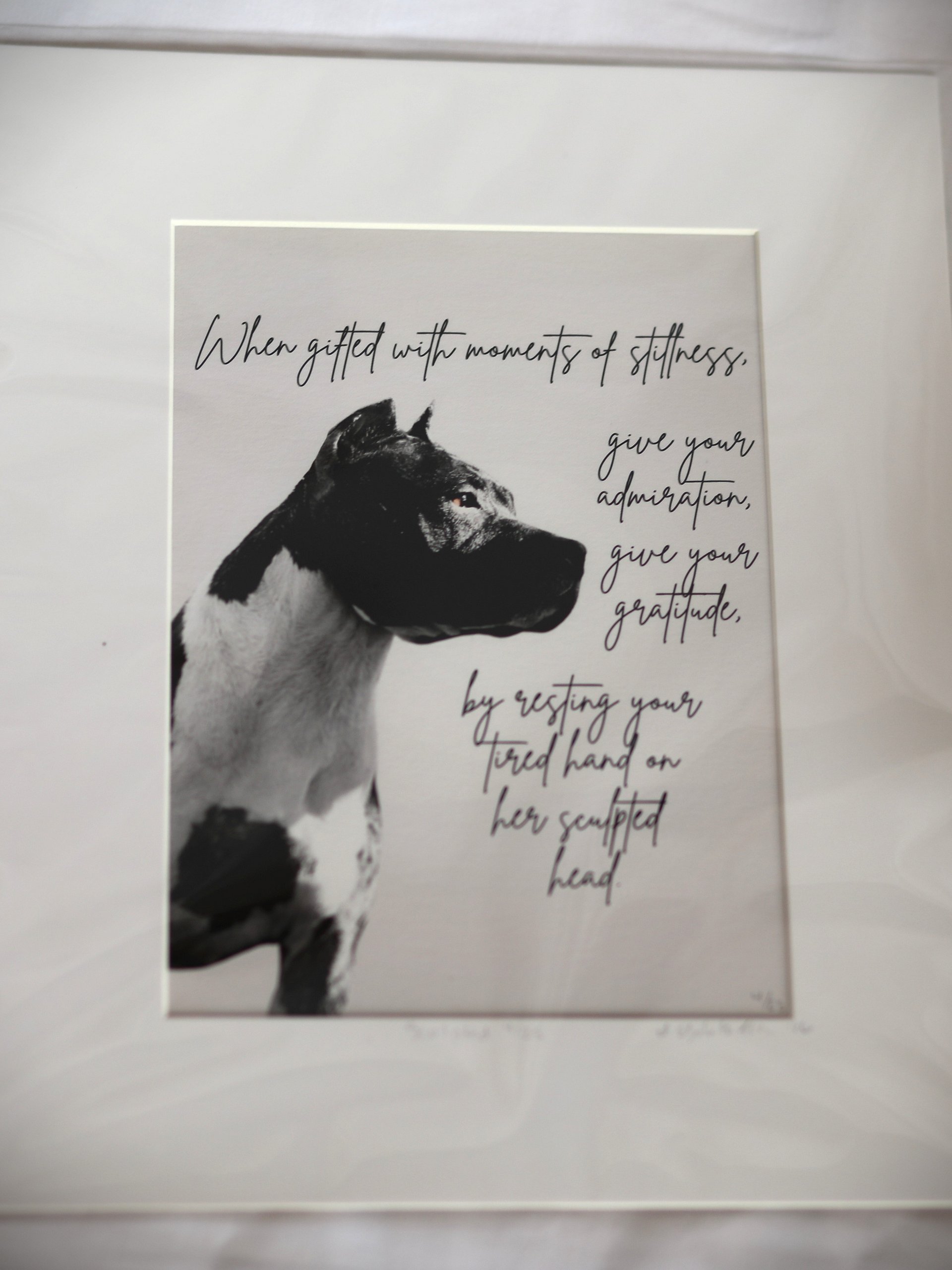 Sculpted American Pit Bull Terrier Fine Art Print: Signed Giclée, Original Poetry Wall Art product image (2)