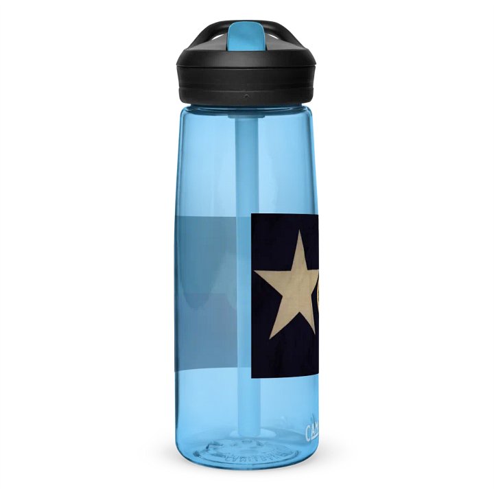 "Texas" Water Bottle product image (2)