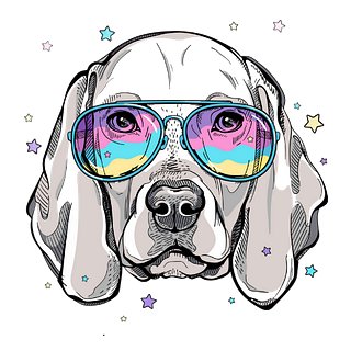 The Goofy Weim