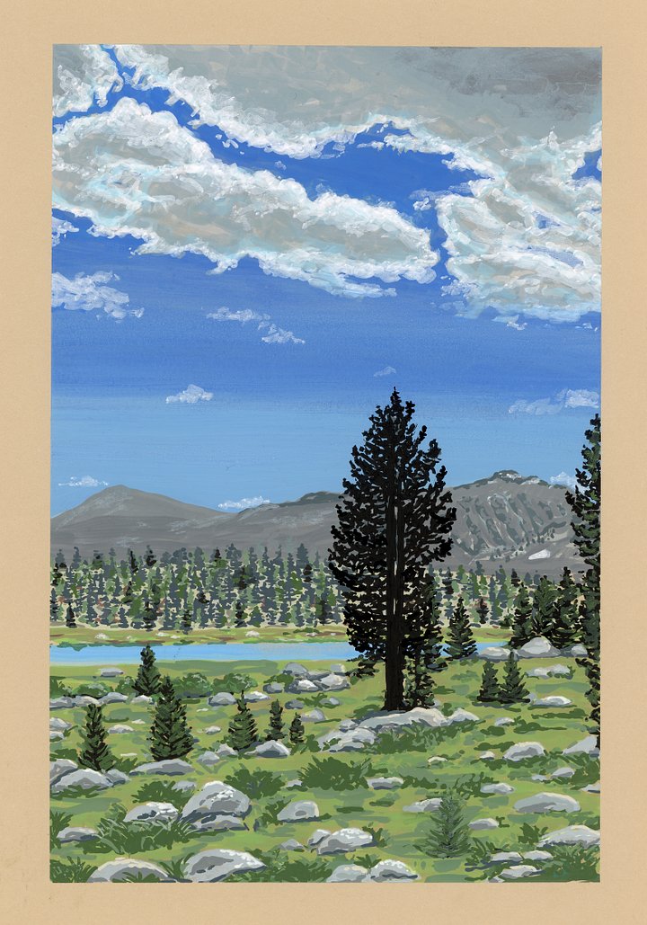 Cottonwood - ORIGINAL product image (1)