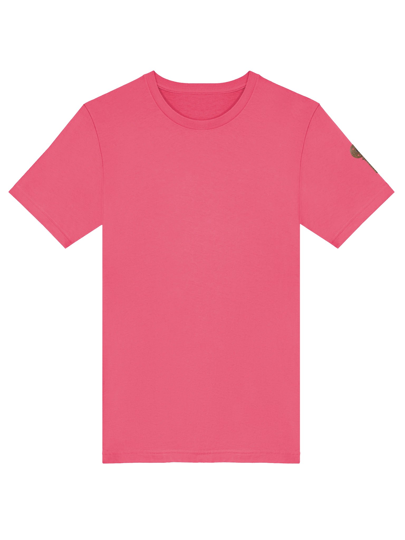 The Gatekeeper’s Key Classic T-Shirt – Back & Left Shoulder Print | Charity Pink | Bella+Canvas 3001 product image (5)
