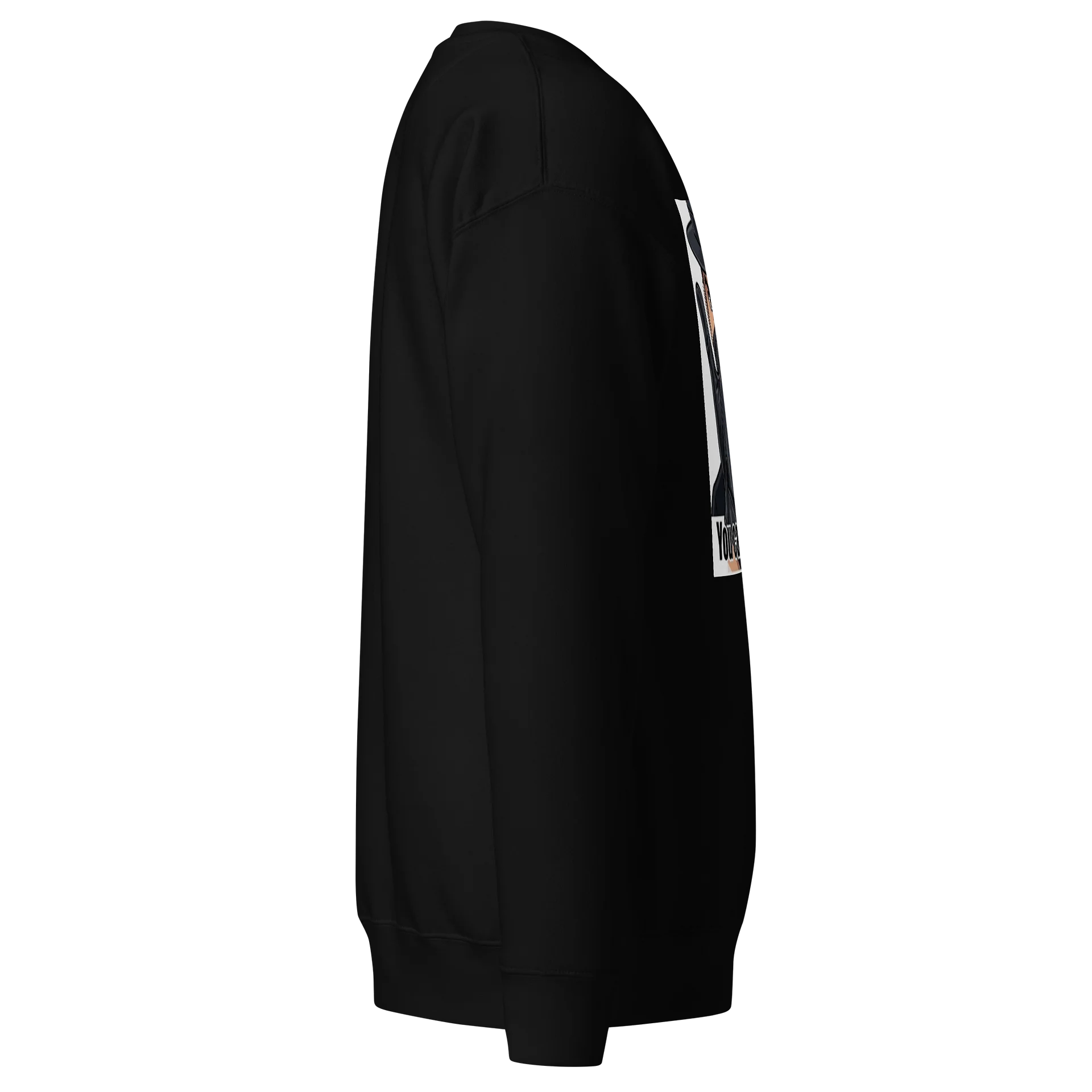 Bandit you Can’t See Me product image (3)