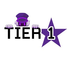 Tier 1 Supporter