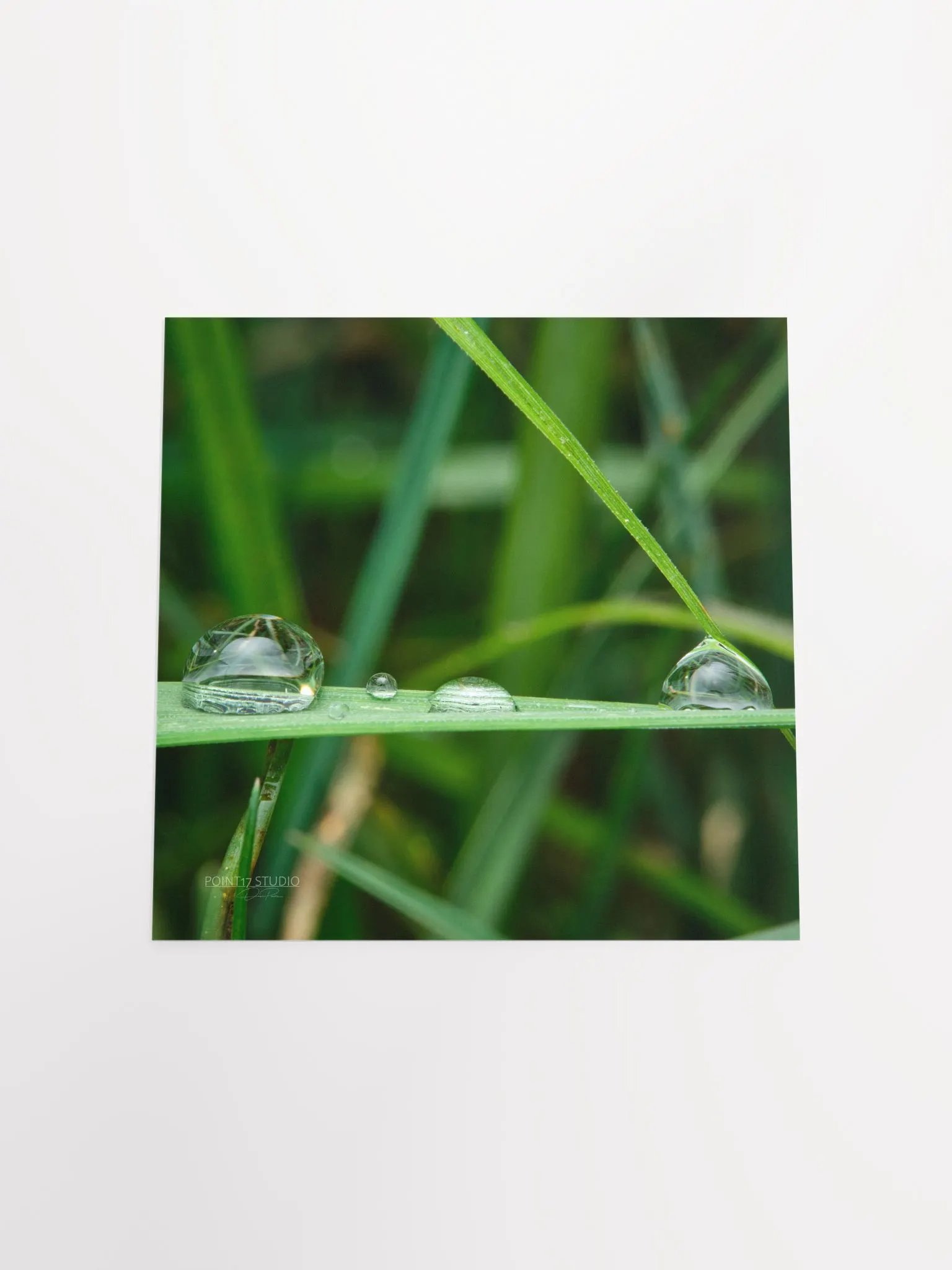 Dew Gems #12 - Framed Print product image (11)