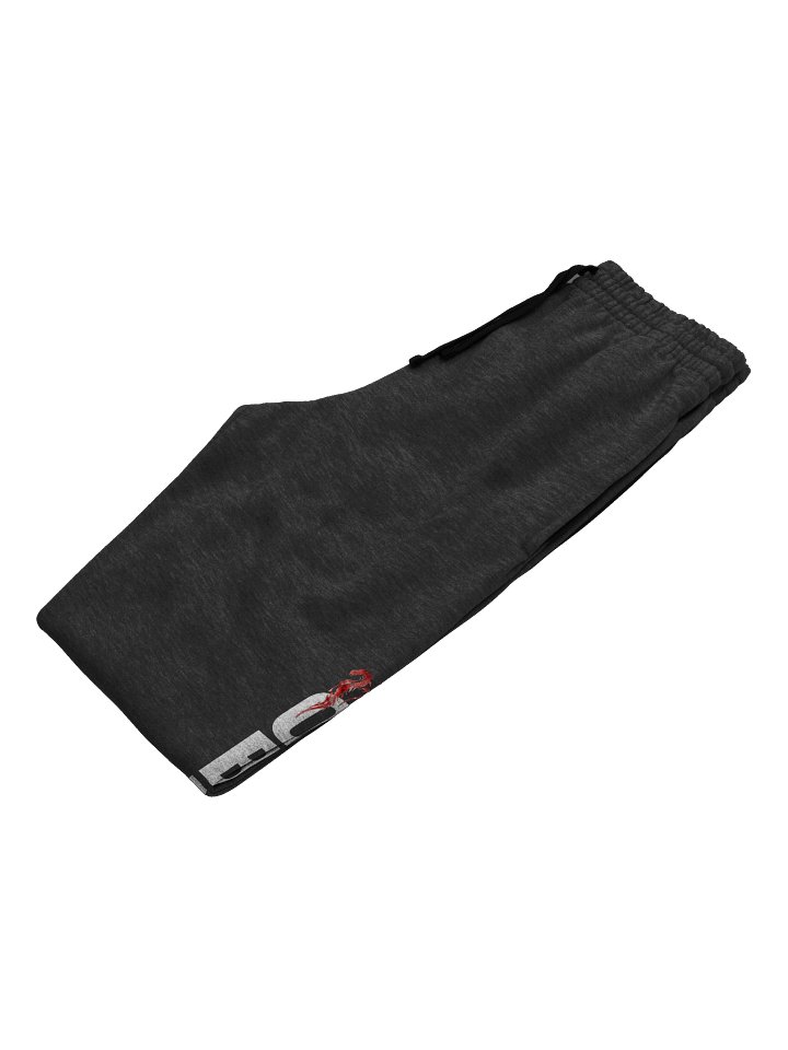 Joggers product image (2)