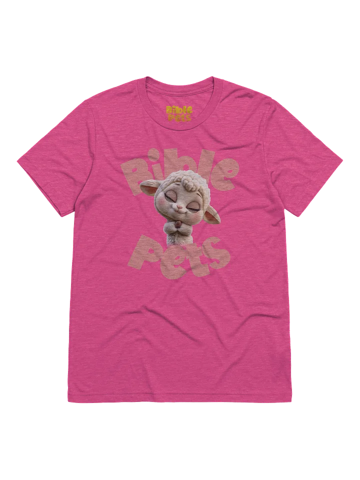 Tabby Praying Adult T-Shirt product image (9)
