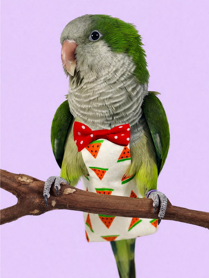 Diapers for Birds product image (1)