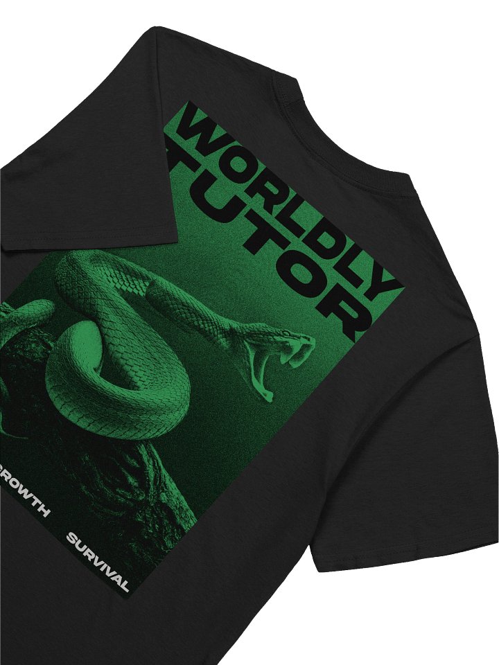 Worldly Tutor product image (2)