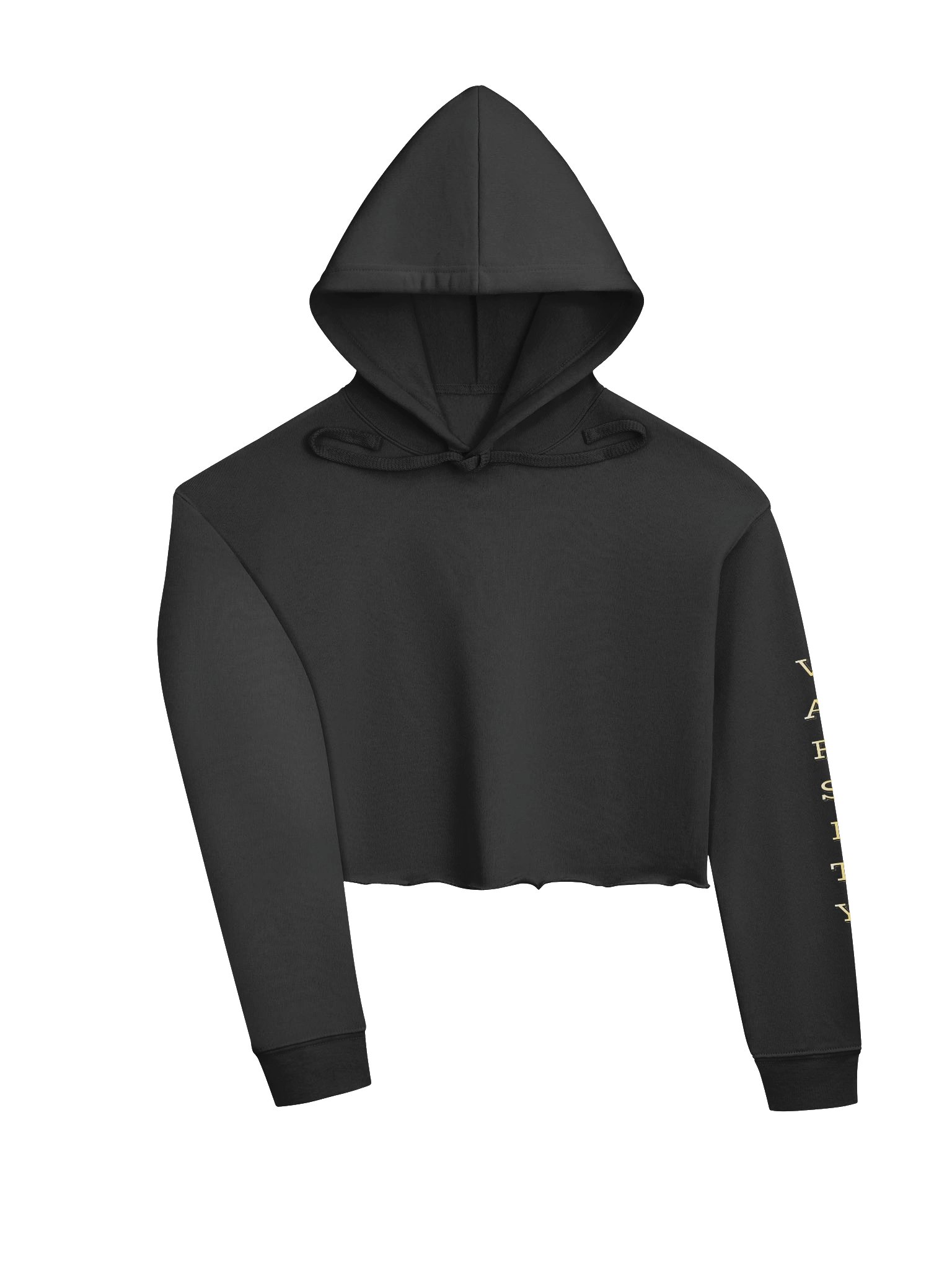 Saguaro Sabercats Wrestling Crop Hoodie product image (3)