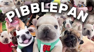 Pibblepan