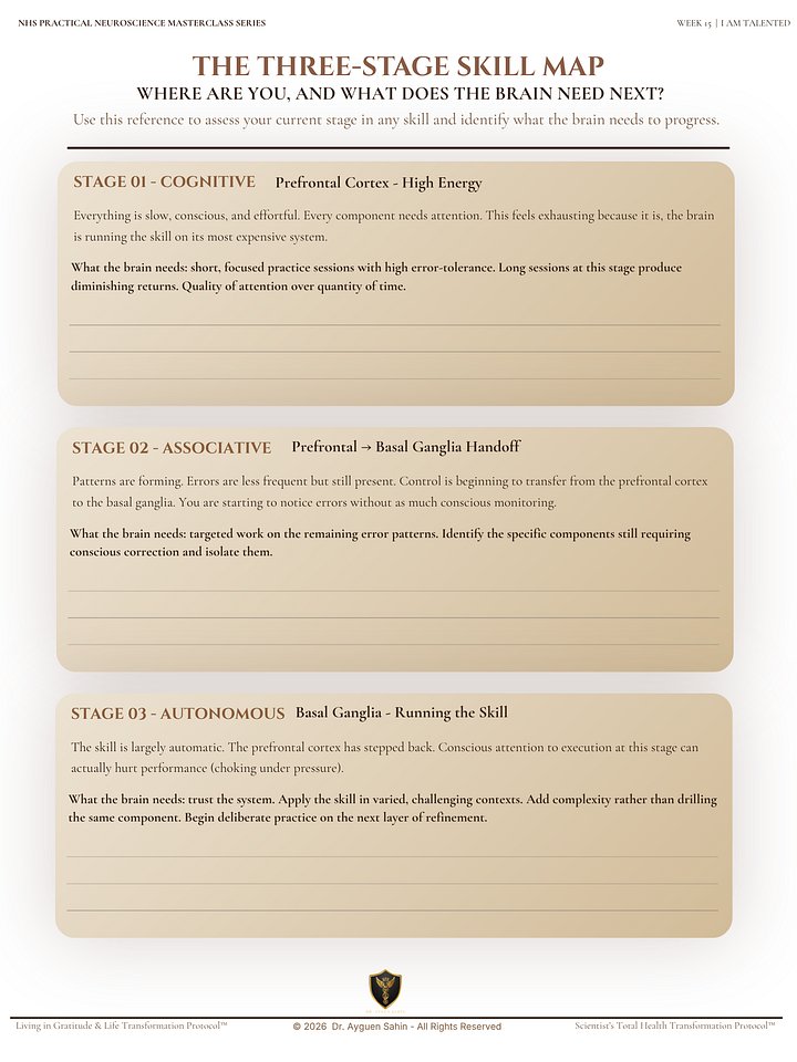 SKILL BUILDING AUDIT product image (2)