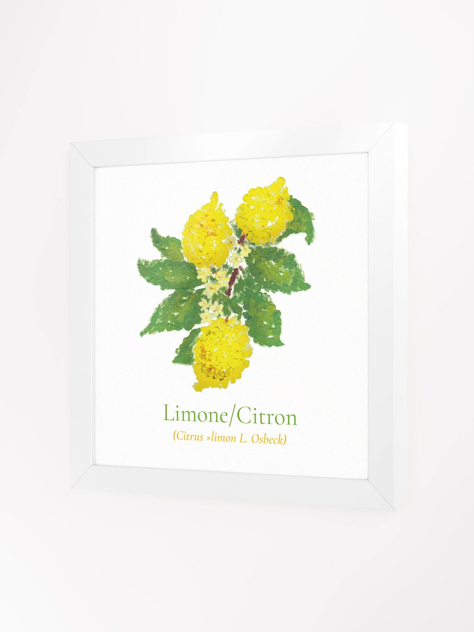 Limoni Botanicus Frame product image (4)