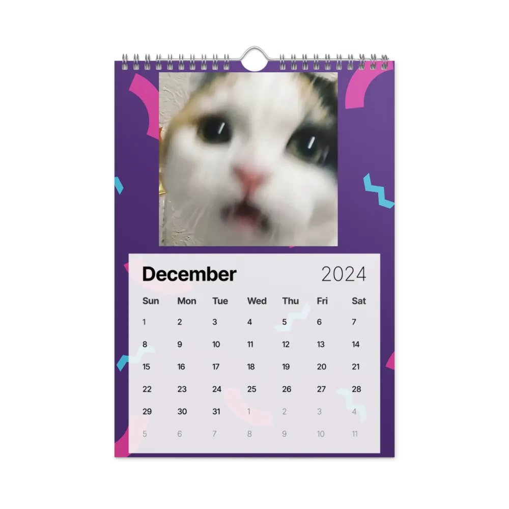 Wall Calendar (2024): Meme Cats product image (6)