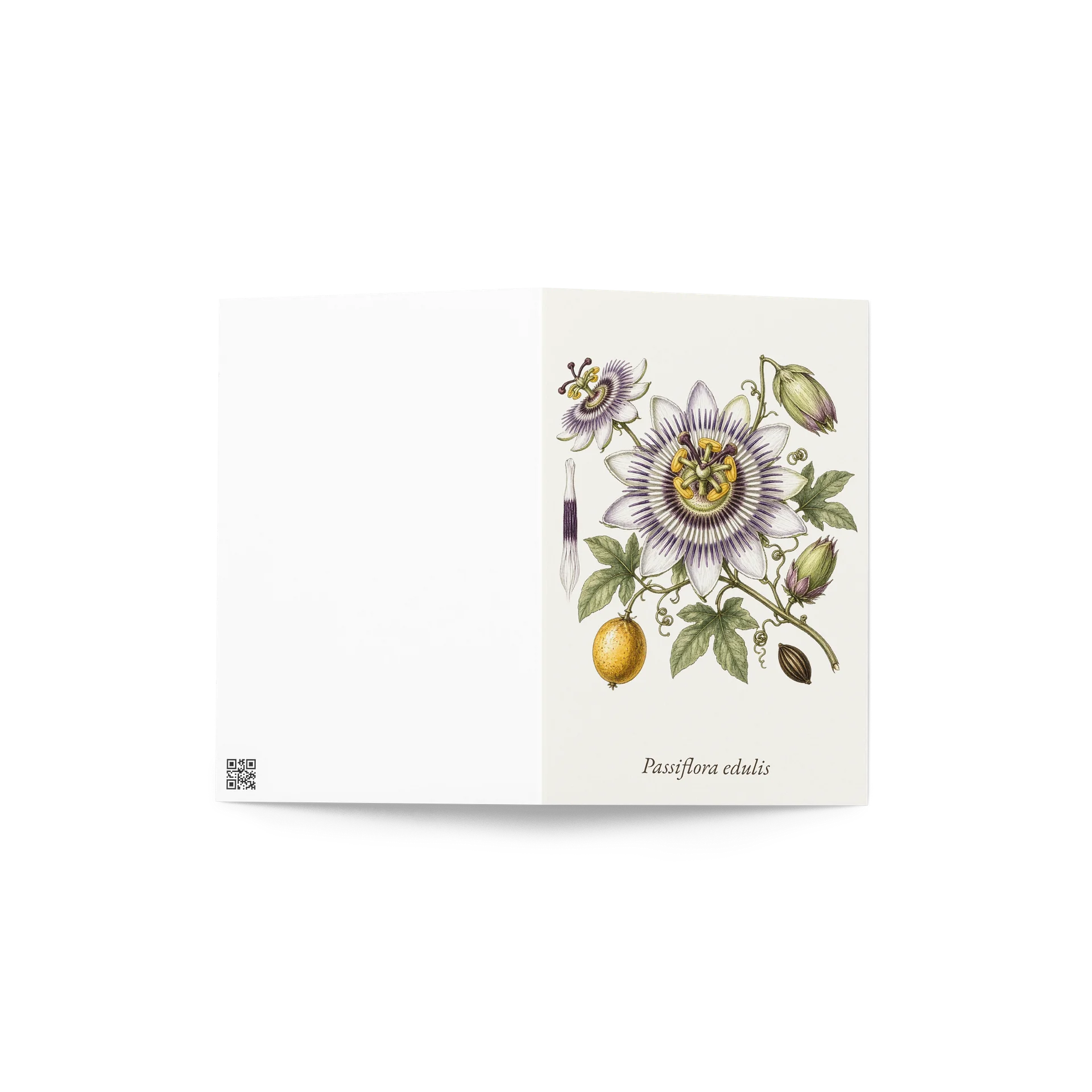 Vintage Botanical Passion Flower Greeting Card product image (4)