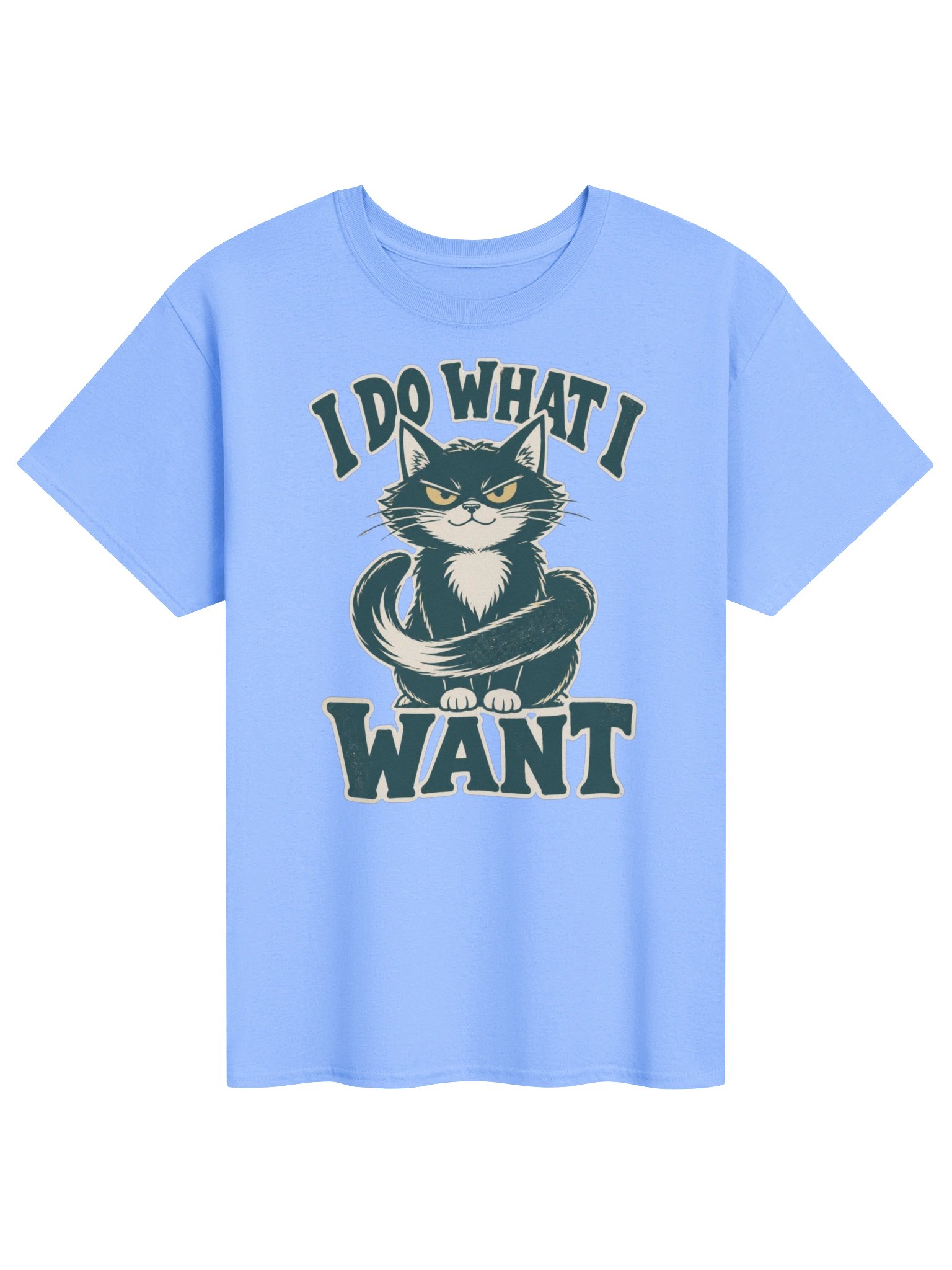I Do What I Want Cat T-Shirt – Funny Vintage Cat Lover Graphic product image (2)