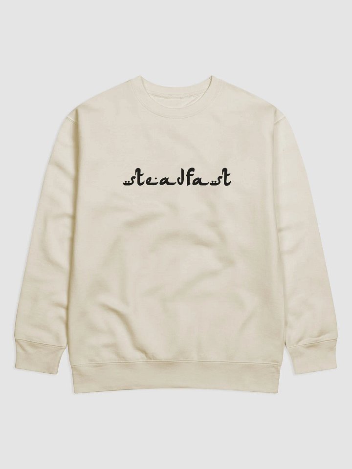 SteadFast in Faith product image (1)