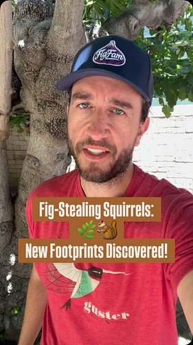 After my musical overture to the squirrels, I assumed we had reached an understanding about their continued presence in my ba...