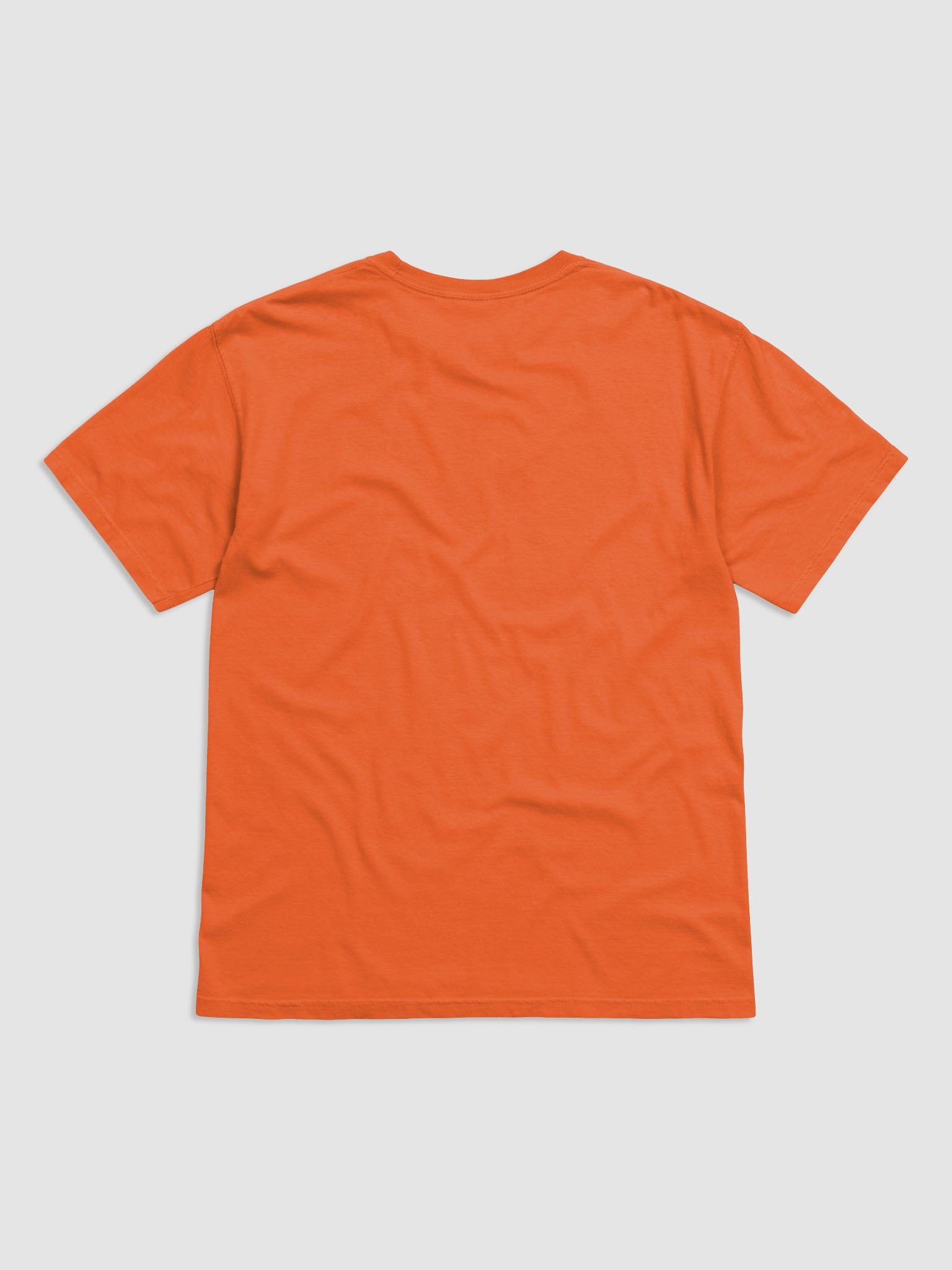 Bright T product image (9)
