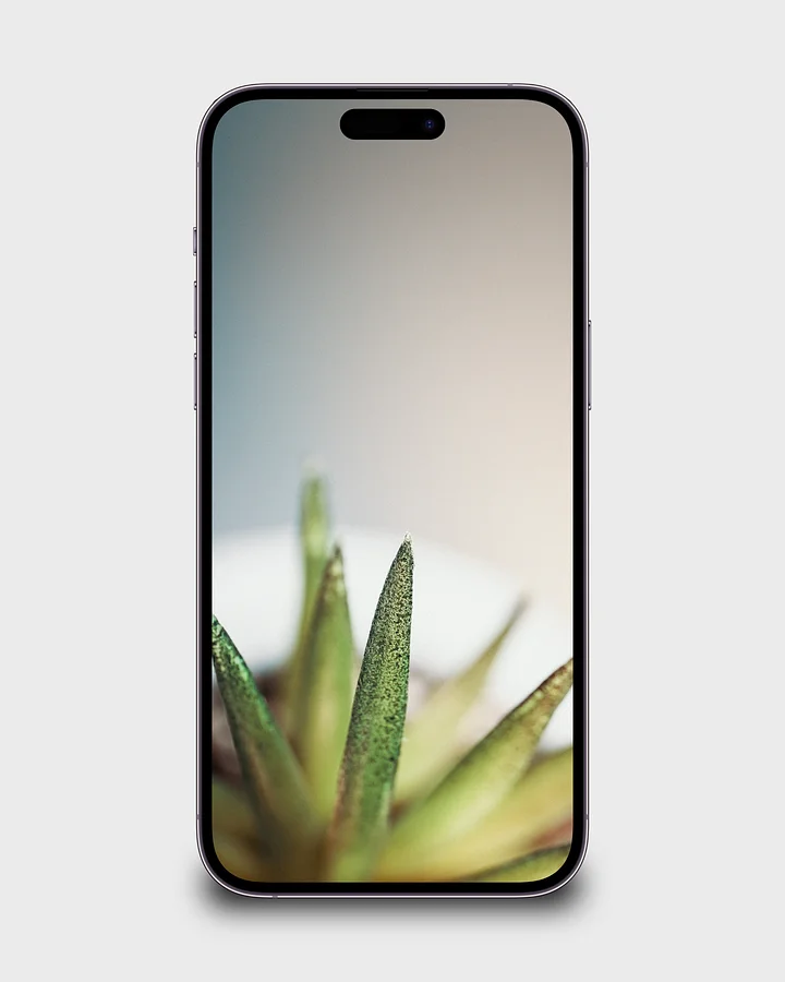 Up Close 8K Wallpaper Pack product image (1)