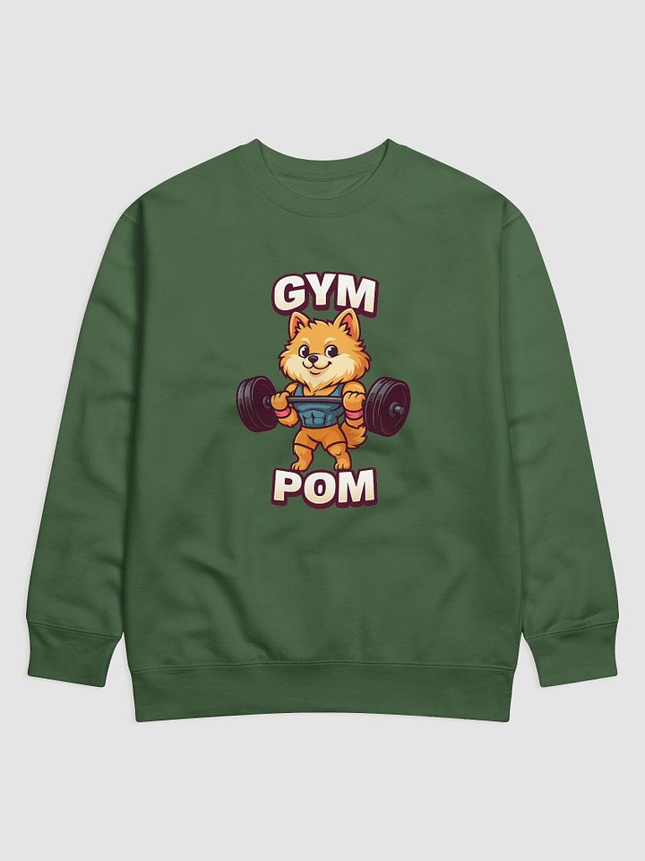 Gym Pom Cartoon Dog Premium Sweatshirt product image (1)