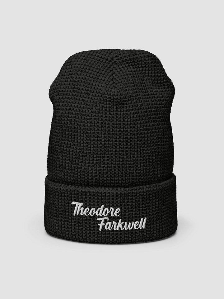 THEODORE FARKWELL BEANIE product image (2)
