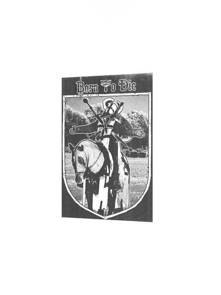 BORN TO DIE POSTER product image (6)