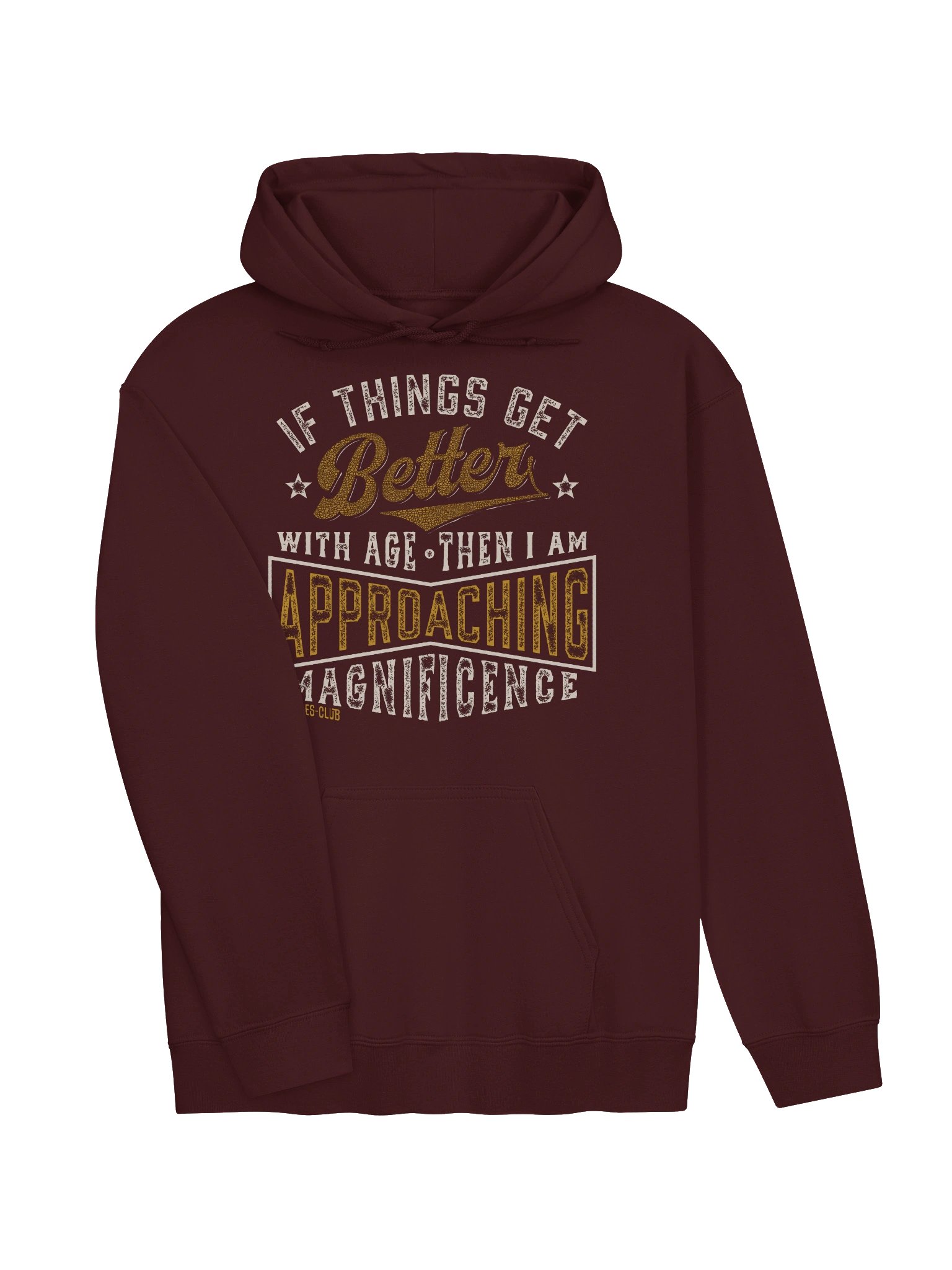 Approaching Magnificence Hoodie product image (7)