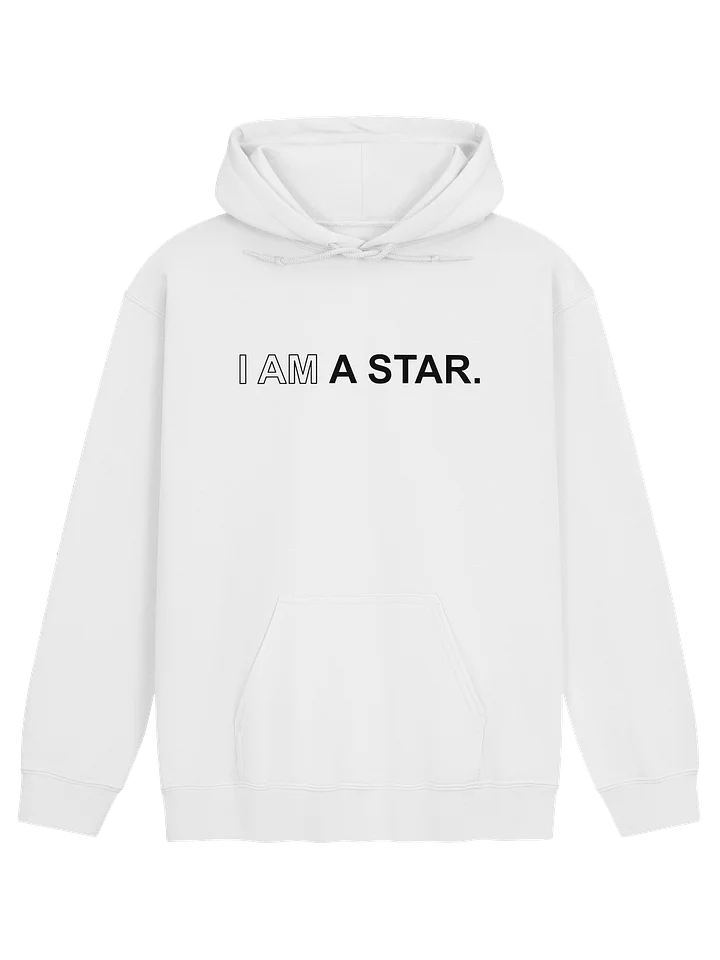 Ten Year Anniversary Gilden Hoodie product image (1)