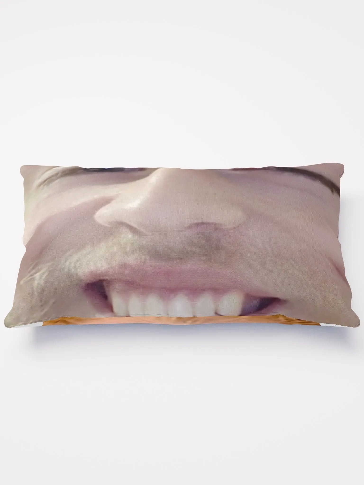 Mischievous Gaze All-Over Print Pillow product image (1)
