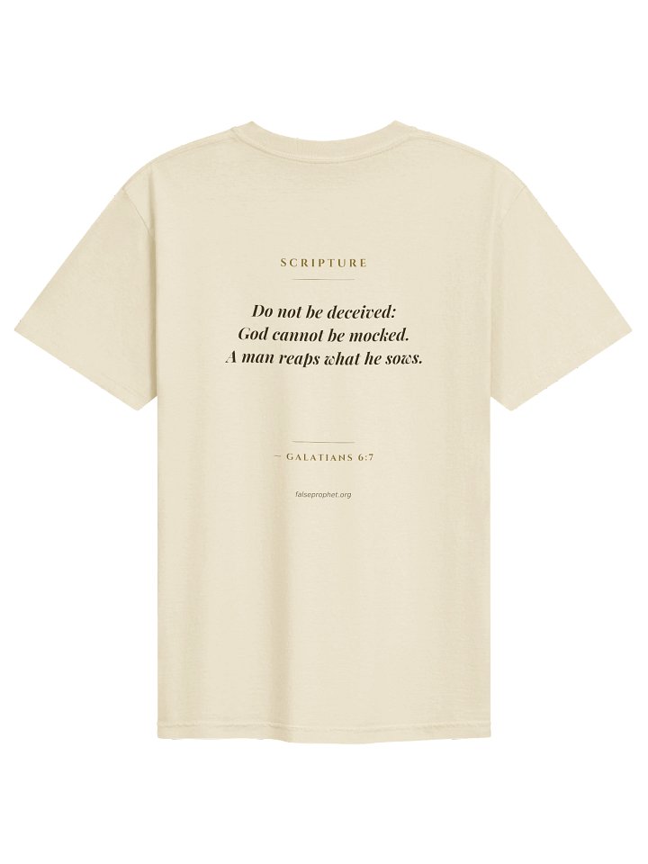 Galatians 6:7/Do Not Be Deceived T-Shirt (White) product image (1)