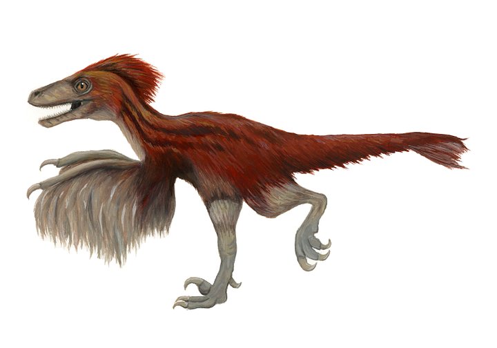 Deinonychus dino - giclée print product image (1)