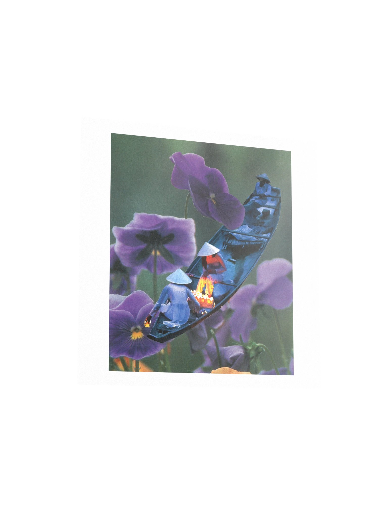 Enchanted World product image (7)