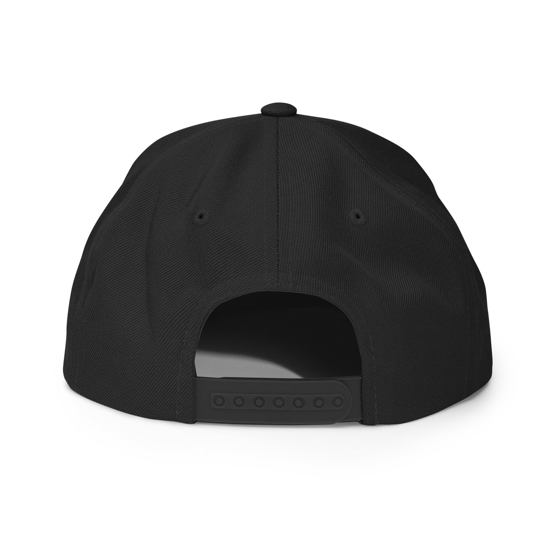 Logo SnapBack product image (2)