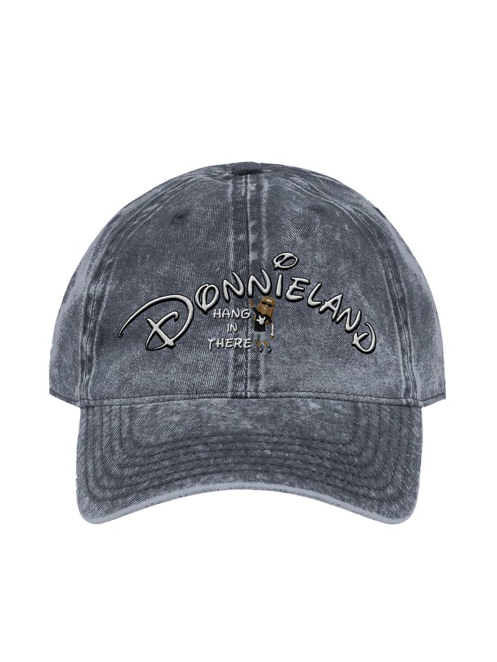 DONNIELAND Hang In There (Otto Vintage Wash Dad Hat) product image (1)